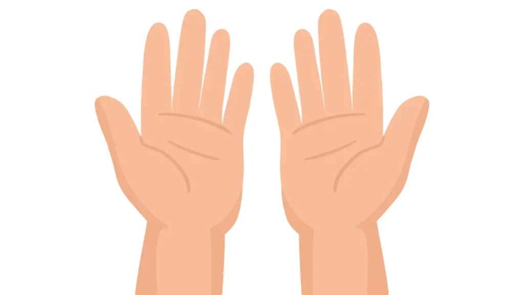 Two illustrated hands lay palm up, showing the starting position for a partner brain break activity.